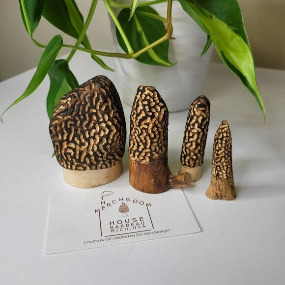 Set of 4 Morel Mushroom Wood Carved Merchroom Forage Mantle Outdoors Fungi Art - Picture 11 of 11